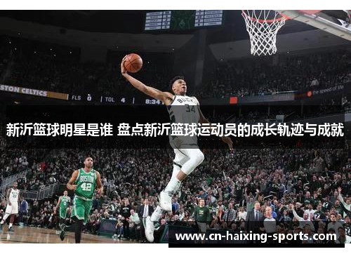 新沂篮球明星是谁 盘点新沂篮球运动员的成长轨迹与成就