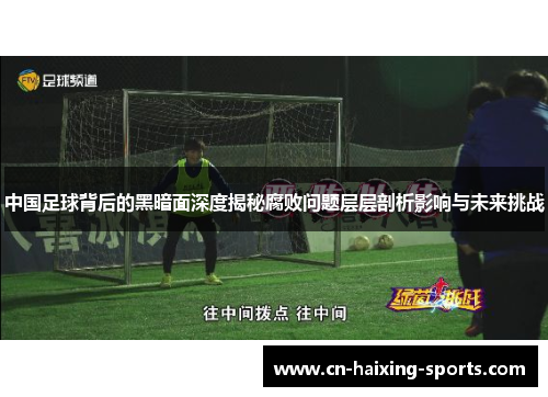 中国足球背后的黑暗面深度揭秘腐败问题层层剖析影响与未来挑战
