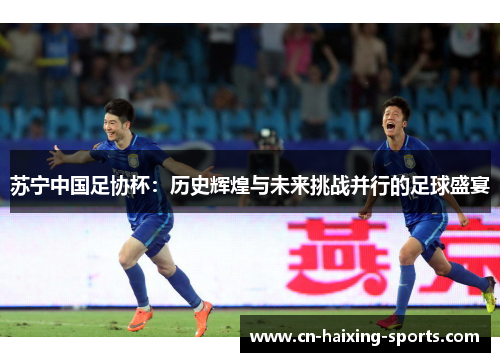 苏宁中国足协杯：历史辉煌与未来挑战并行的足球盛宴