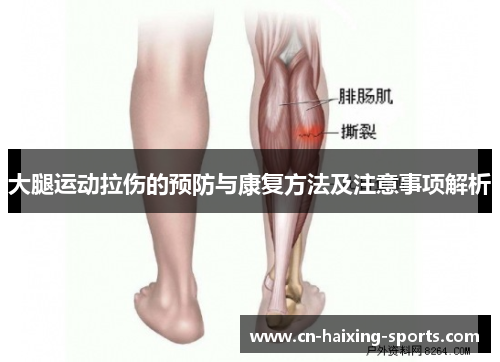 大腿运动拉伤的预防与康复方法及注意事项解析