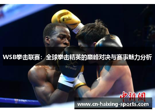 WSB拳击联赛：全球拳击精英的巅峰对决与赛事魅力分析