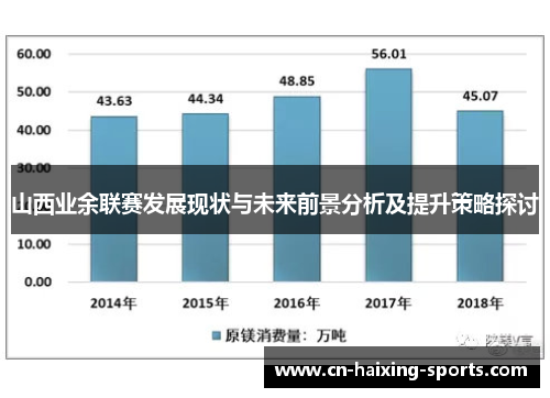 山西业余联赛发展现状与未来前景分析及提升策略探讨