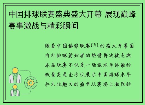 中国排球联赛盛典盛大开幕 展现巅峰赛事激战与精彩瞬间